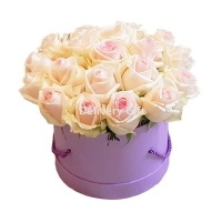 19 нежно-розовых роз в коробке от Delivery Gift.