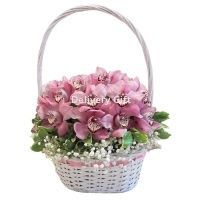 Корзина розовых орхидей от Delivery Gift.