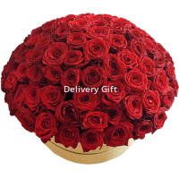 101 красная роза в коробке от Delivery Gift.